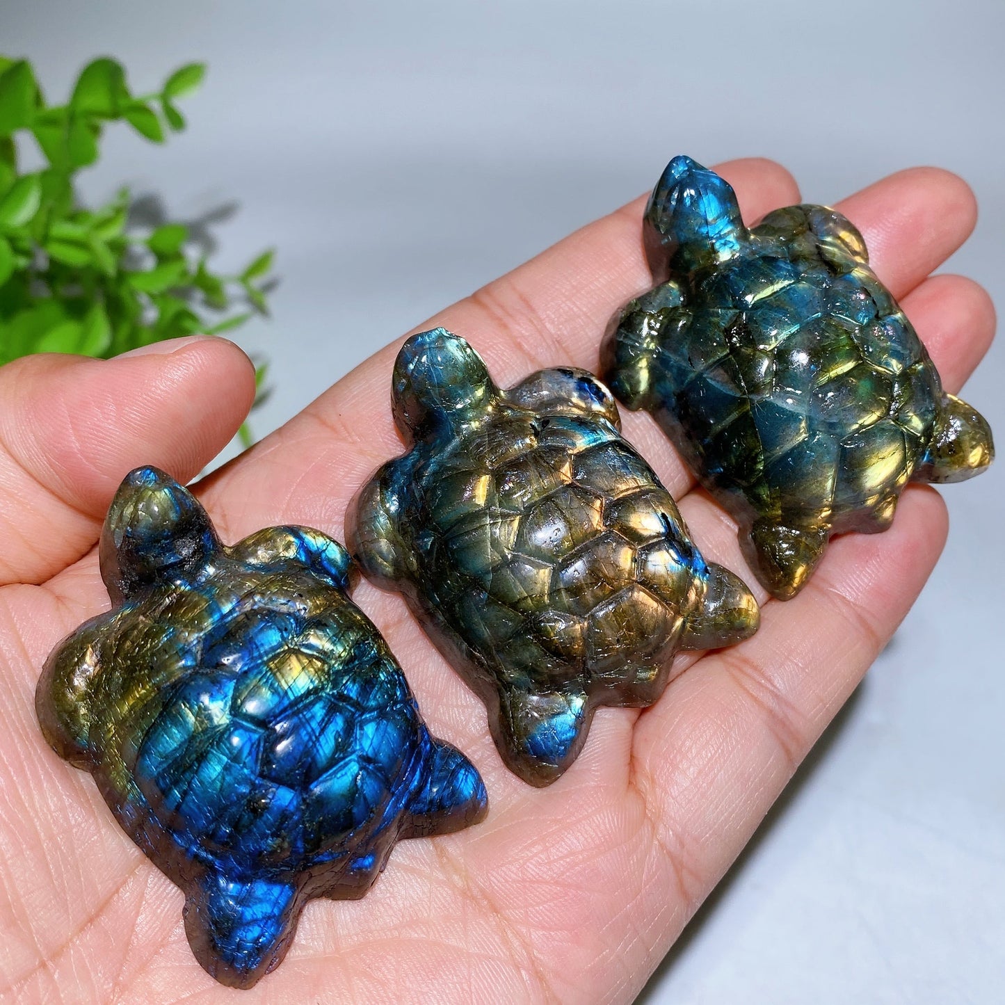 2.0" Labradorite Turtle Carving Crystal Healing Bulk Wholesale