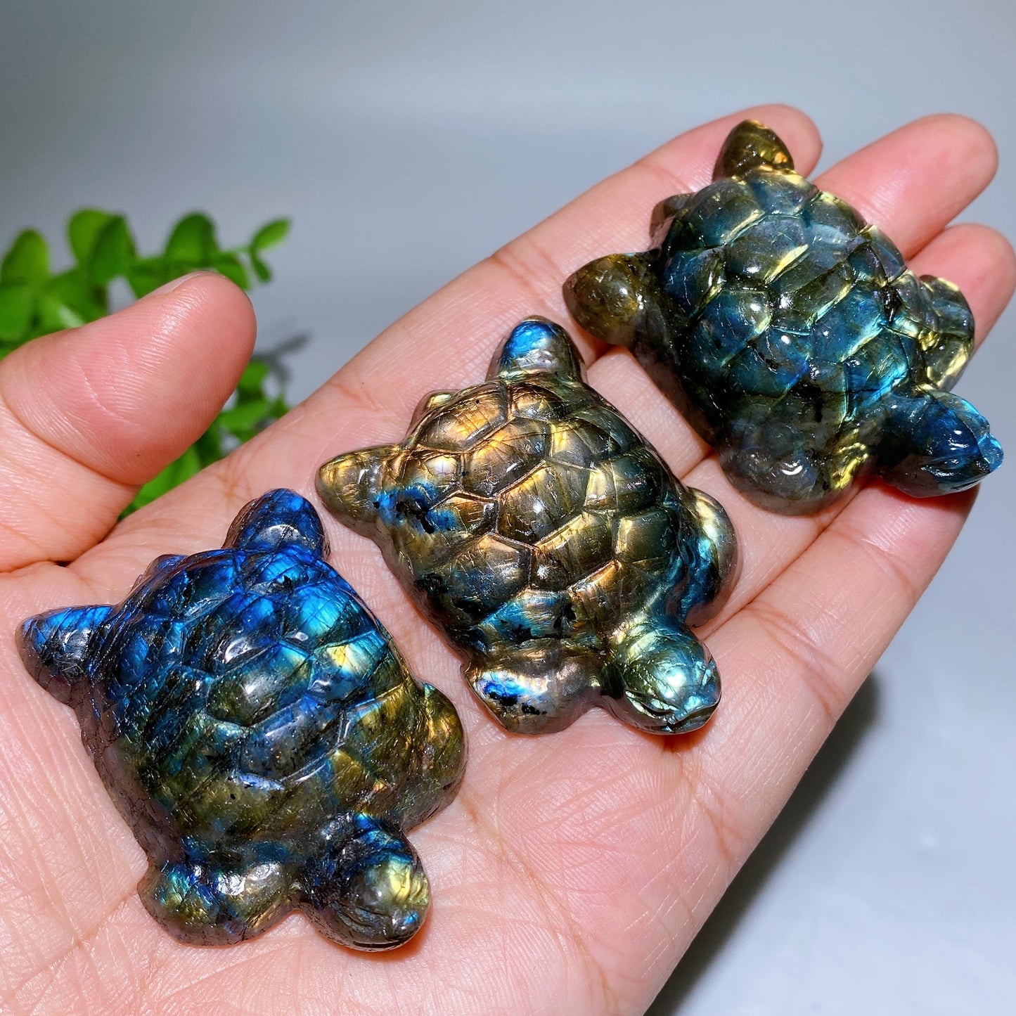 2.0" Labradorite Turtle Carving Crystal Healing Bulk Wholesale