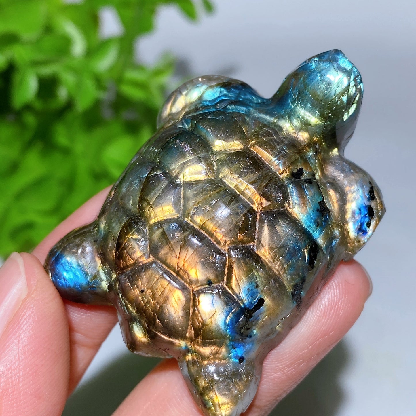 2.0" Labradorite Turtle Carving Crystal Healing Bulk Wholesale
