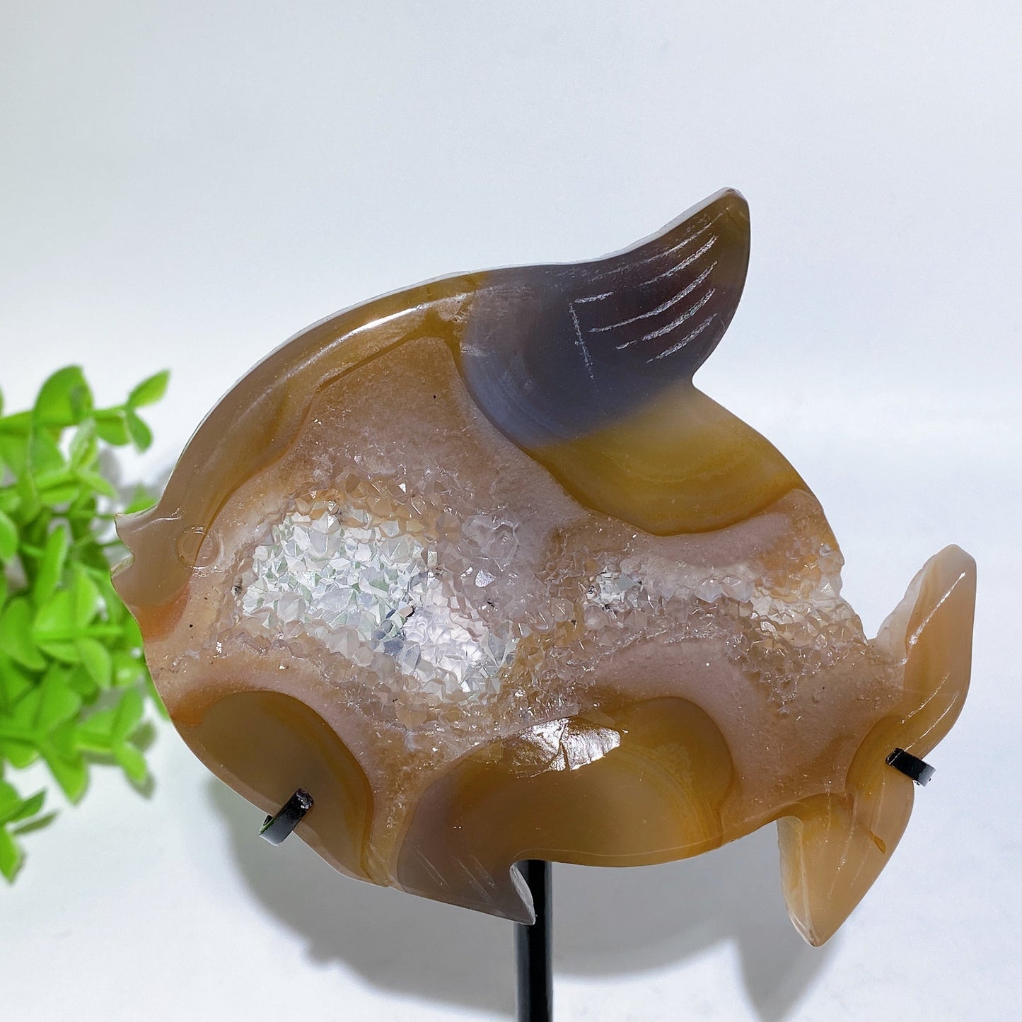 Druzy Agate Fish Carving with Stand Crystal Healing Bulk Wholesale