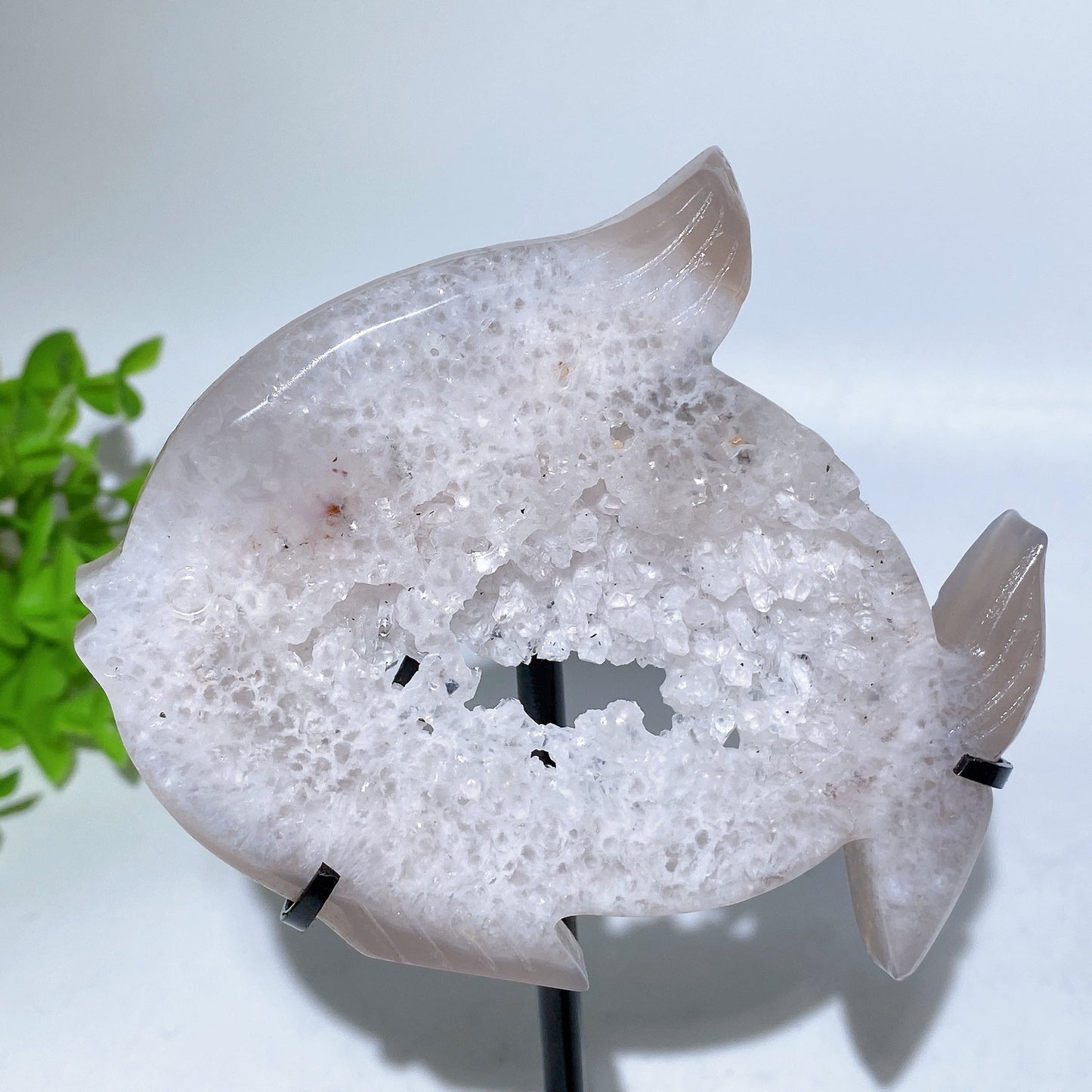 Druzy Agate Fish Carving with Stand Crystal Healing Bulk Wholesale