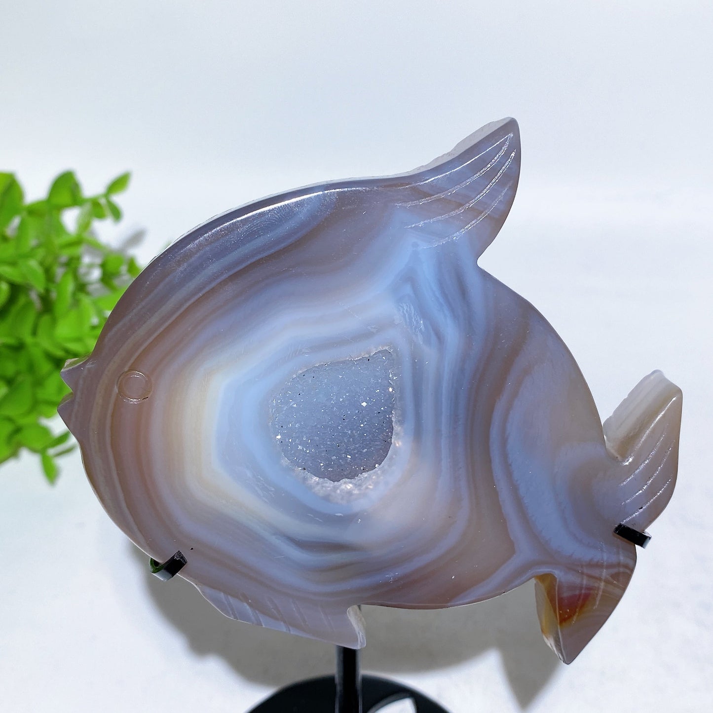 Druzy Agate Fish Carving with Stand Crystal Healing Bulk Wholesale
