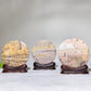 3.7" Picture Jasper Round Slab with Wooden Stand Crystal Healing Bulk Wholesale