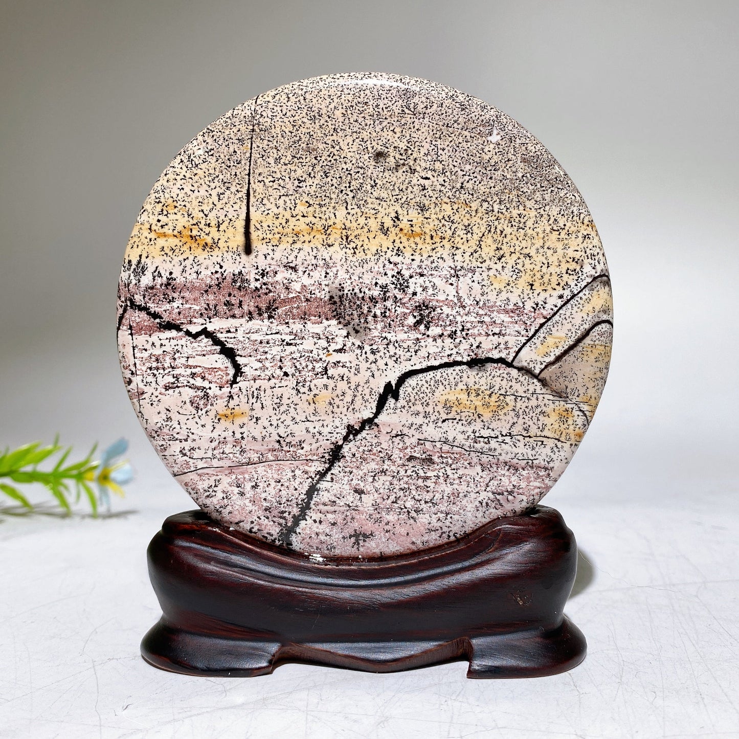 3.7" Picture Jasper Round Slab with Wooden Stand Crystal Healing Bulk Wholesale