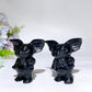 2.4" Black Obsidian Gizmo Carving Crystal Healing Bulk Wholesale