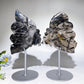 6.2" Black Tourmaline in Quartz Butterfly Fairy Carving Crystal Healing Bulk Wholesale