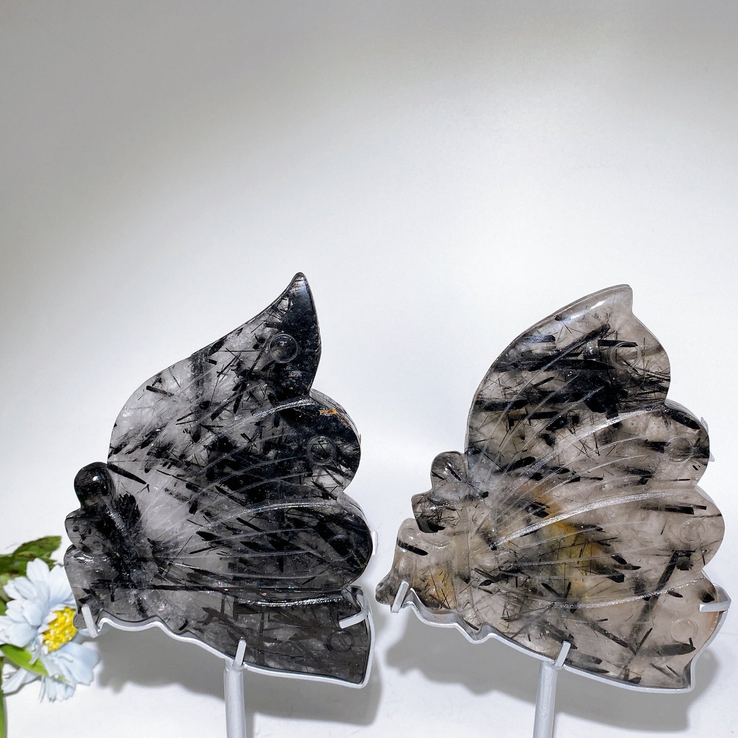 6.2" Black Tourmaline in Quartz Butterfly Fairy Carving Crystal Healing Bulk Wholesale
