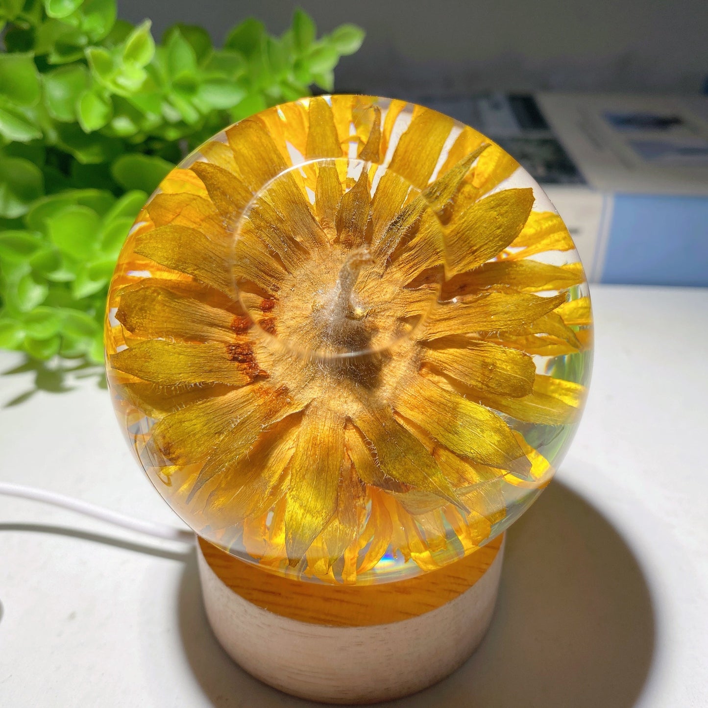 3.1" Resin Sunflower Sphere with Wooden Lamp Stand Bulk Wholesale