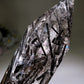 37cm Large Unique Black Tourmaline In Quartz Tower with Rainbow Crystal Healing Bulk Wholesale