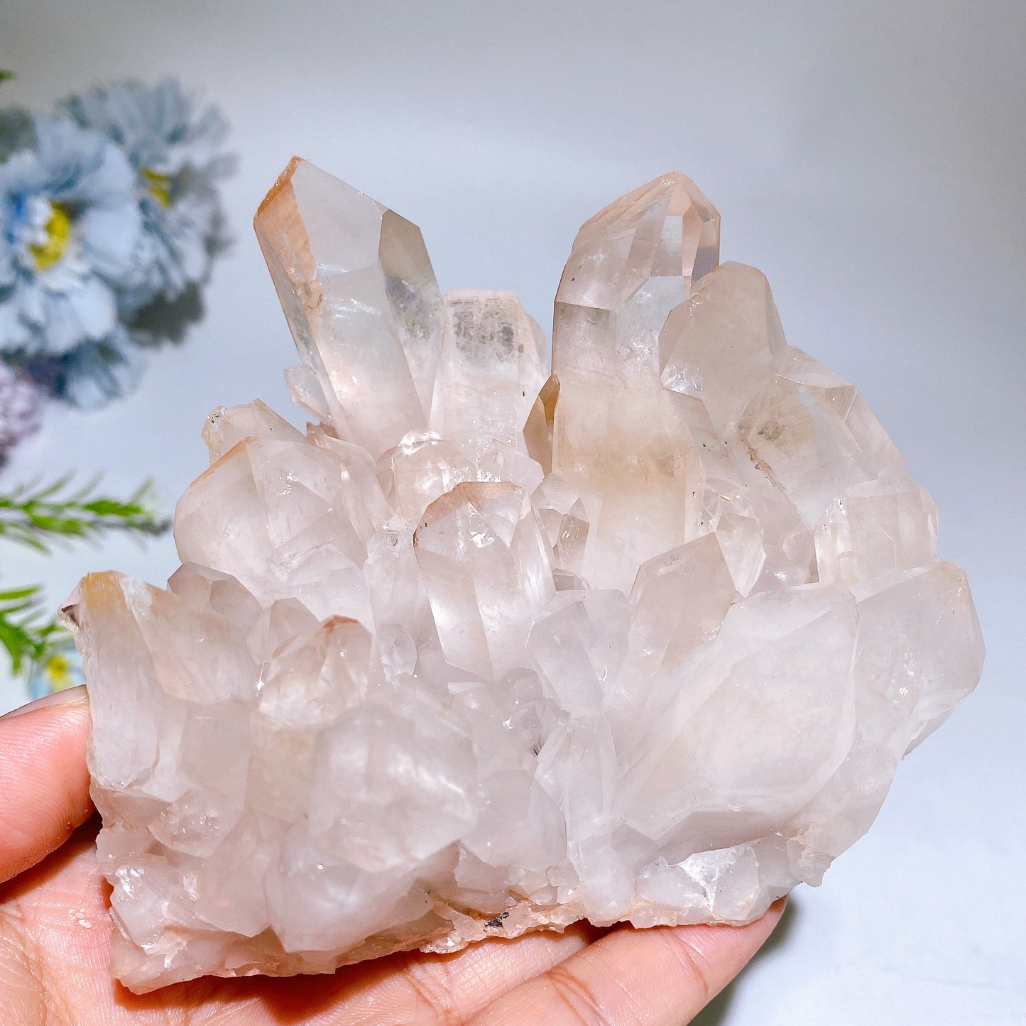 13cm Clear Quartz Cluster Specimen Crystal Healing Bulk Wholesale