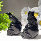 2.8" Black Obsidian Skull with Bird Carvings for Halloween Bulk Wholesale