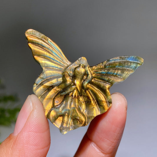 1.9" Labradorite Butterfly Fairy Carving Crystal Healing Bulk Wholesale