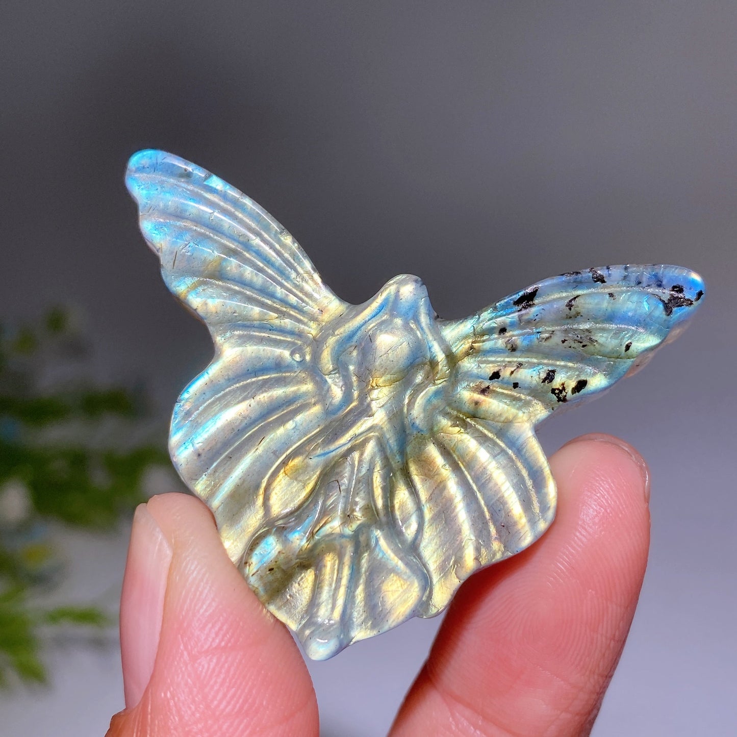 1.9" Labradorite Butterfly Fairy Carving Crystal Healing Bulk Wholesale