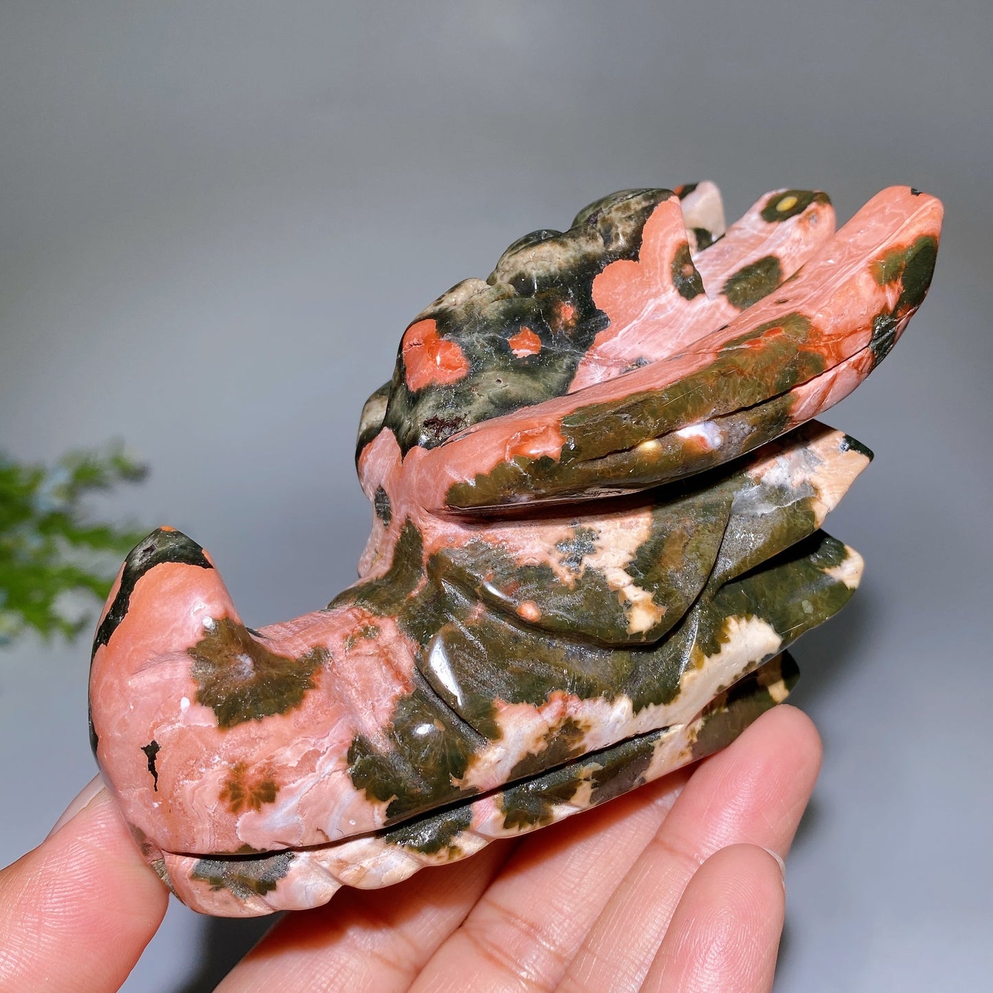 4.1" Unique Ocean Jasper Dragon Head Carving Crystal Healing Bulk Wholesale
