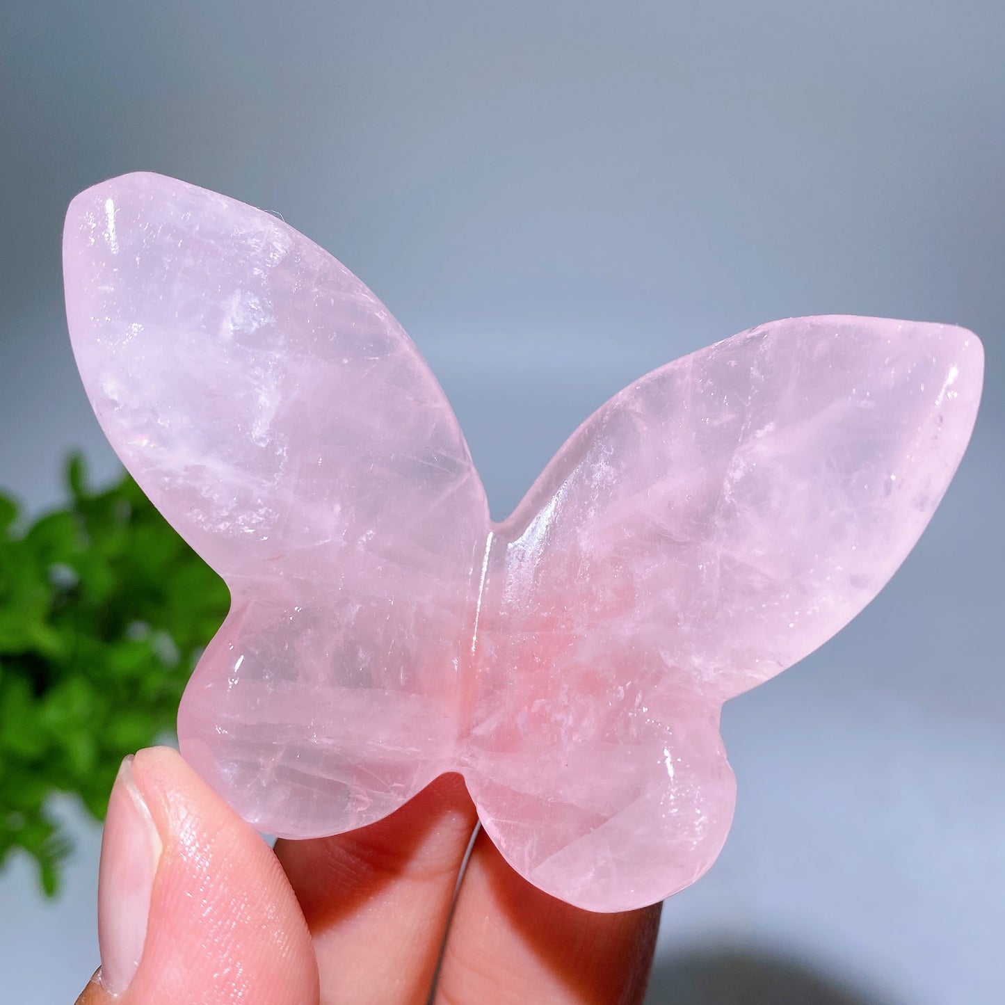 2.3"-2.5" Crystal Butterfly Carving Crystal Healing Bulk Wholesale