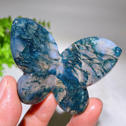 2.3"-2.5" Crystal Butterfly Carving Crystal Healing Bulk Wholesale