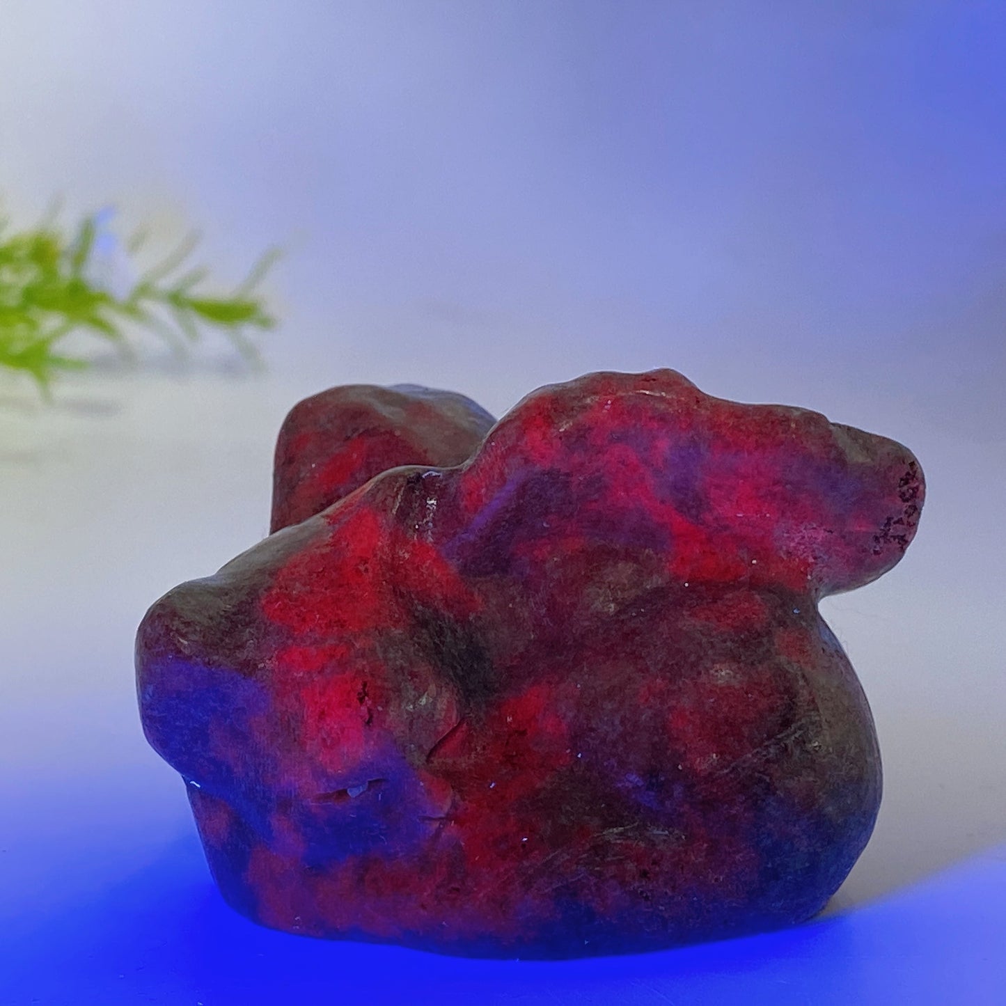 2.3" UV Reactive Ruby In Kyanite Cat with Wings Carving Crystal Healing Bulk Wholesale