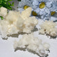 Selenite Growing with Calcite Specimen Bulk Wholesale