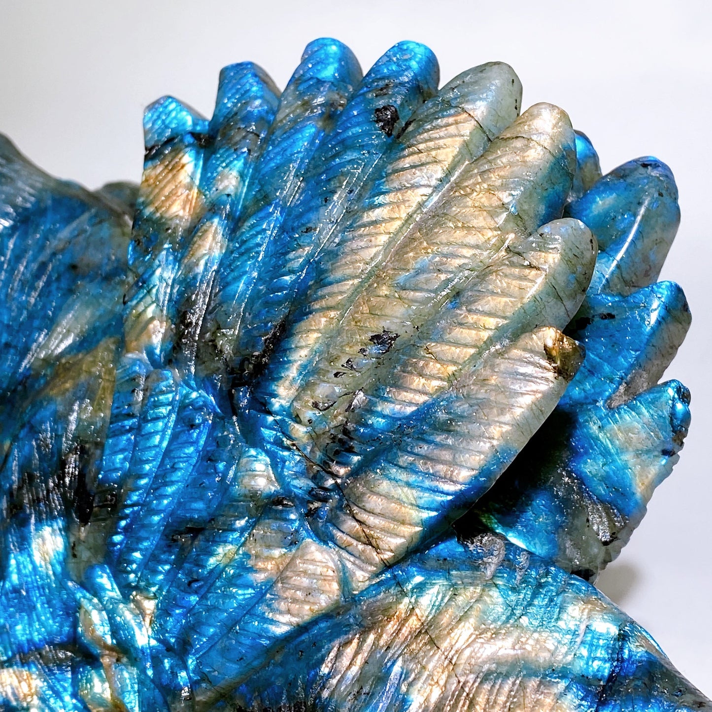 28cm Large Unique Labradorite Smilodon with Wings Carving Crystal Healing Bulk Wholesale