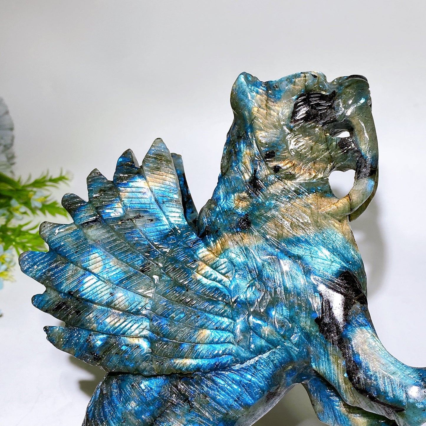 28cm Large Unique Labradorite Smilodon with Wings Carving Crystal Healing Bulk Wholesale