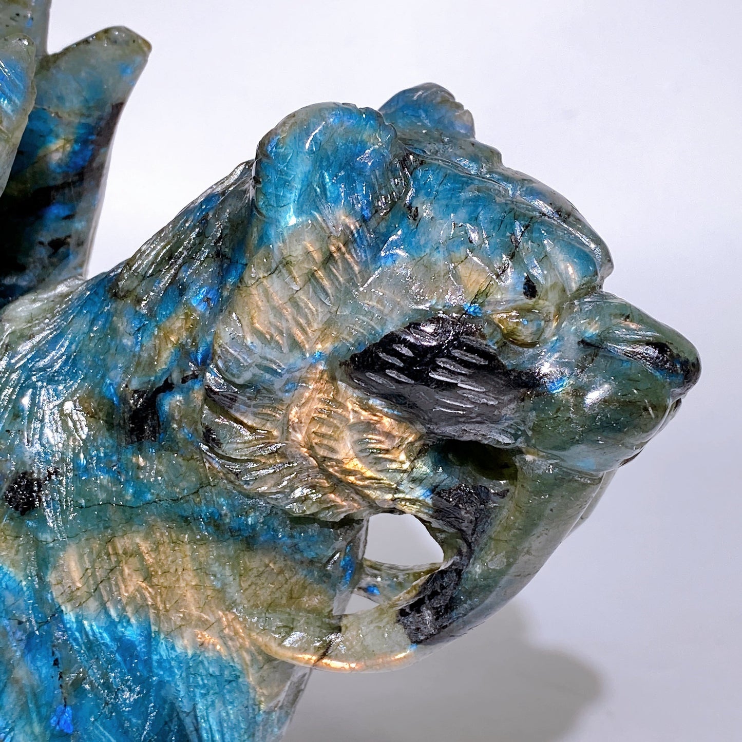 28cm Large Unique Labradorite Smilodon with Wings Carving Crystal Healing Bulk Wholesale