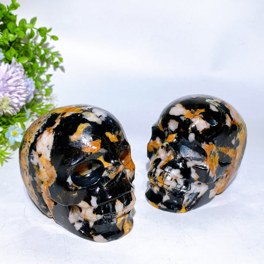 4.0" Black Mica Grow with Golden Healer Skull Carving Crystal Healing Bulk Wholesale