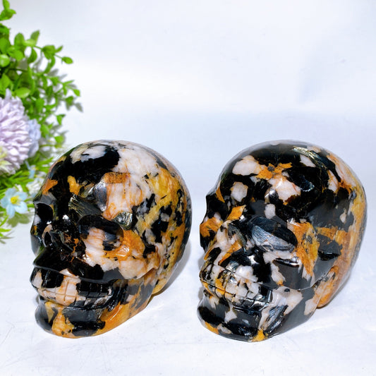 4.0" Black Mica Grow with Golden Healer Skull Carving Crystal Healing Bulk Wholesale