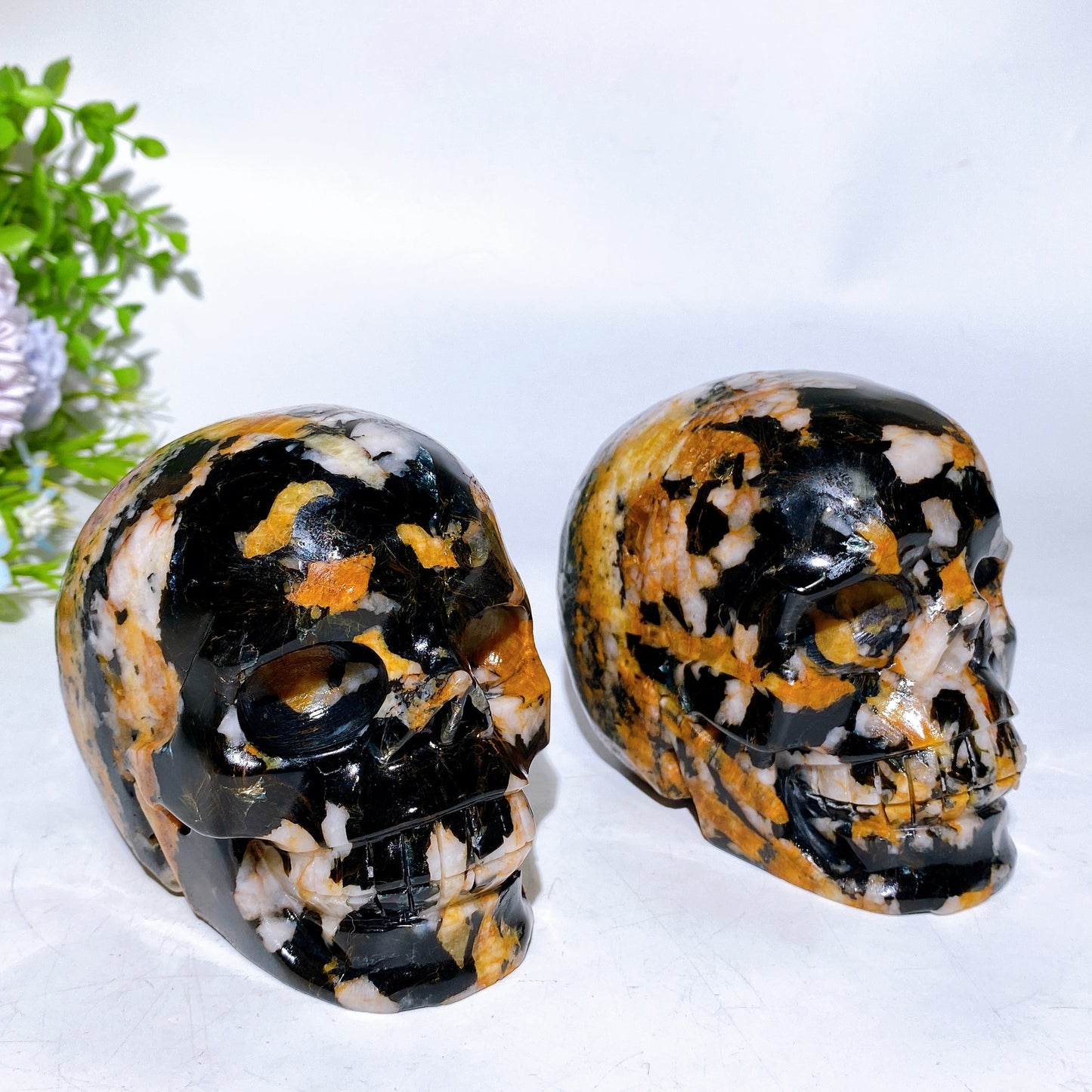 4.0" Black Mica Grow with Golden Healer Skull Carving Crystal Healing Bulk Wholesale