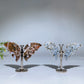 Ocean Jasper Butterfly Wings Carving with Stand Crystal Healing Bulk Wholesale