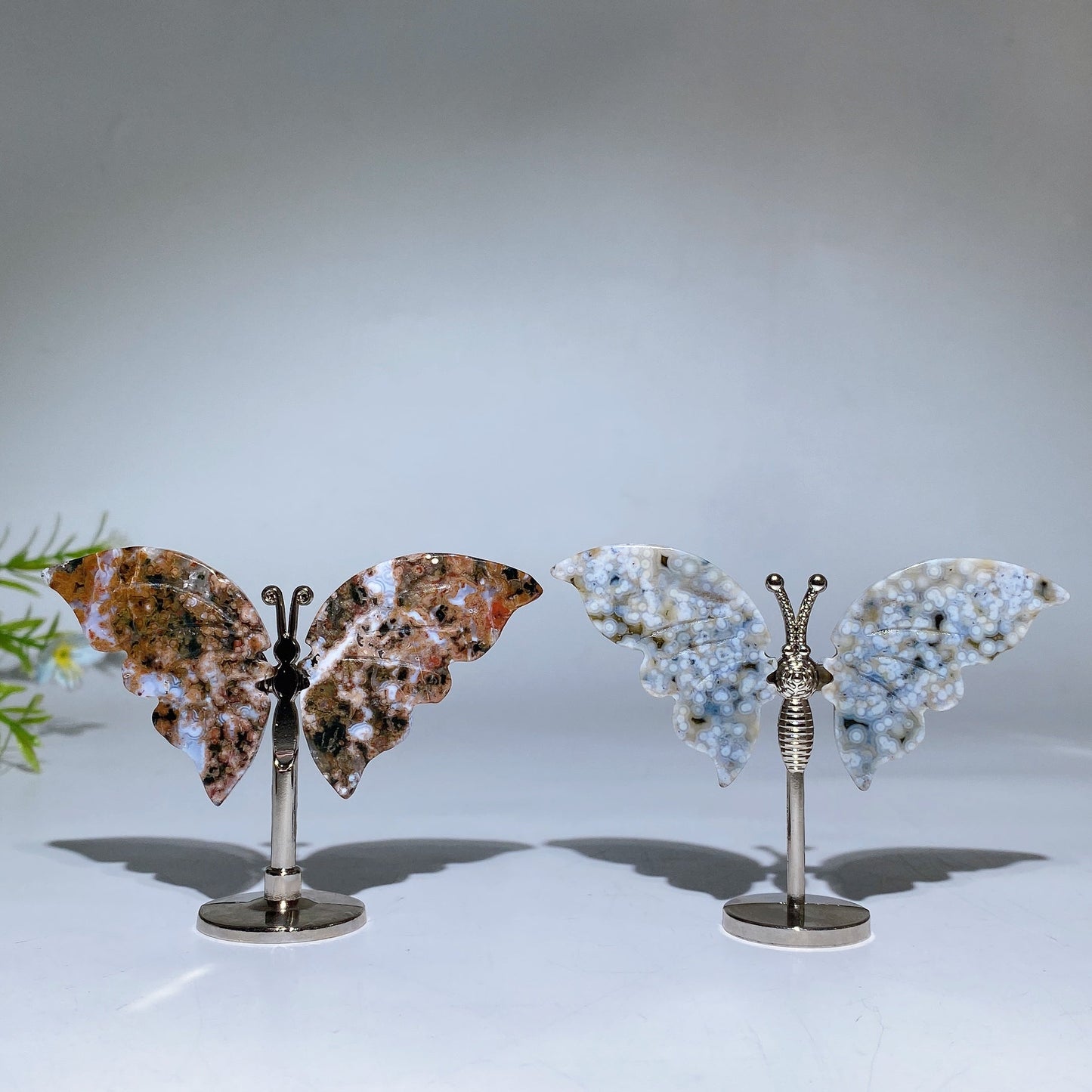 Ocean Jasper Butterfly Wings Carving with Stand Crystal Healing Bulk Wholesale