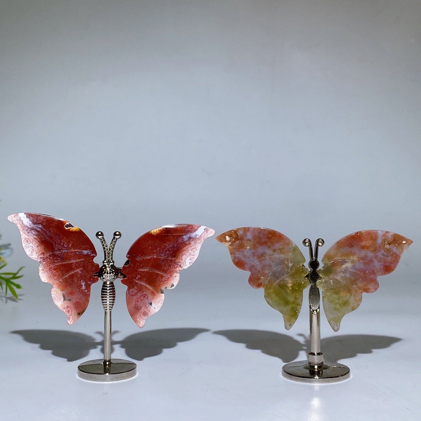 Ocean Jasper Butterfly Wings Carving with Stand Crystal Healing Bulk Wholesale