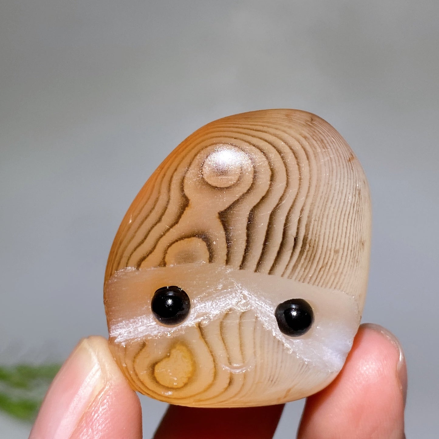 1.4"-2.0" Sardonyx Groot Head Crystal Healing Bulk Wholesale
