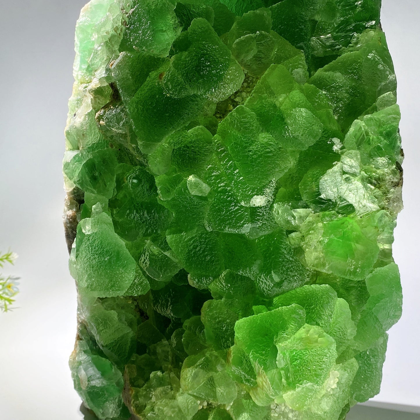36cm Large Unique Rare Raw Fluorite Specimen from Jiangxi China Crystal Healing Bulk Wholesale