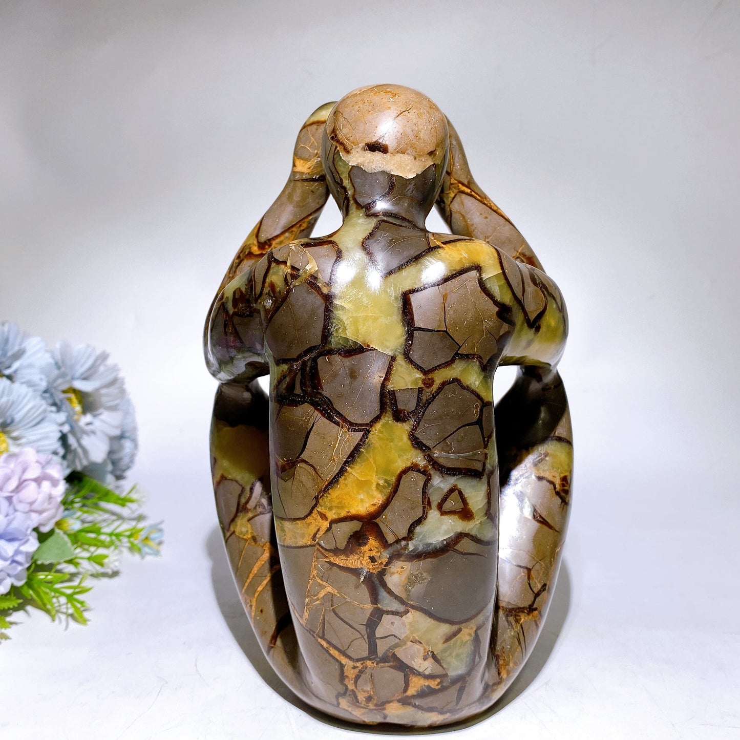 21cm Septarium Thinker Carving Crystal Healing Bulk Wholesale