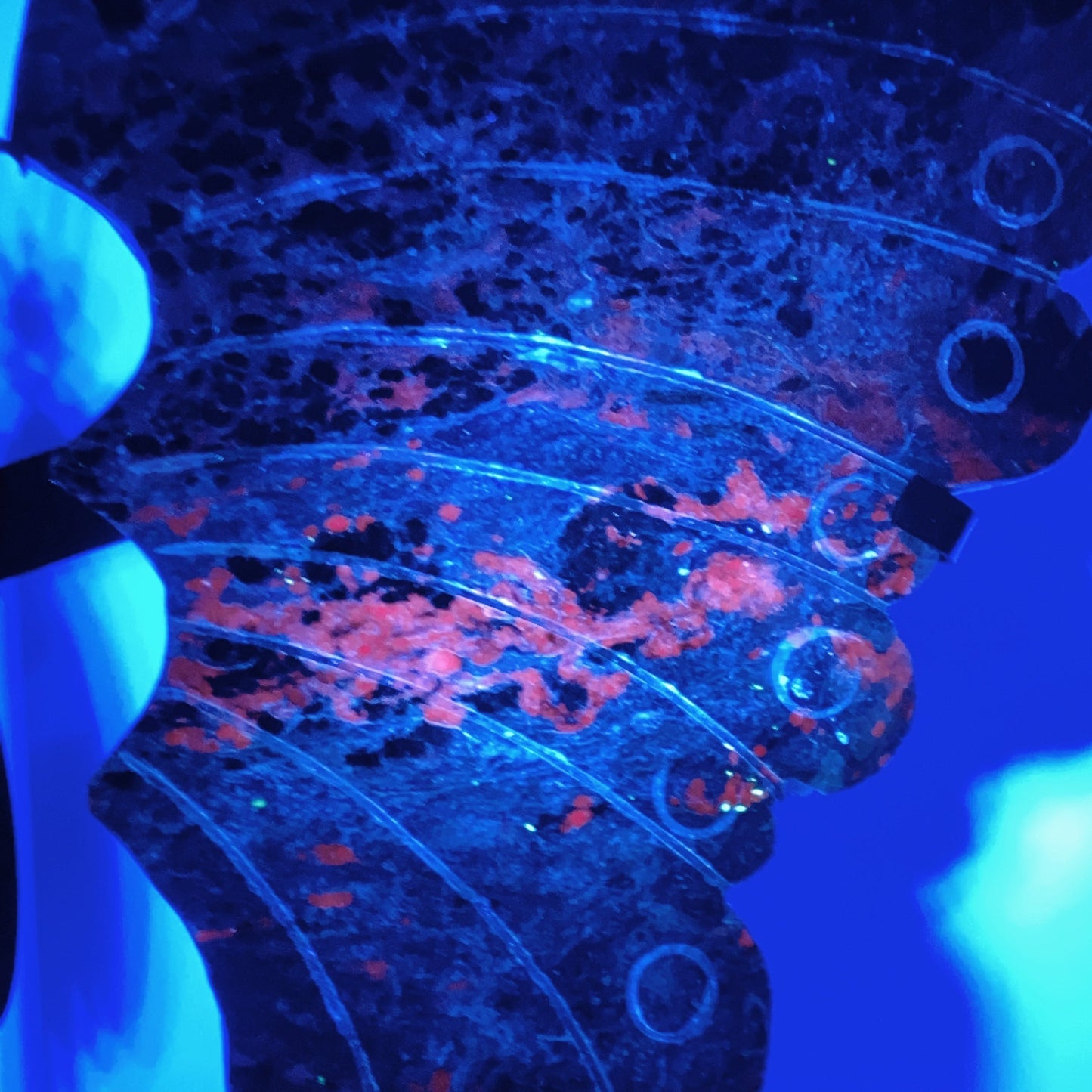 Large Unique Charoite with Calcite Butterfly Wings with Stand Crystal Healing Bulk Wholesale