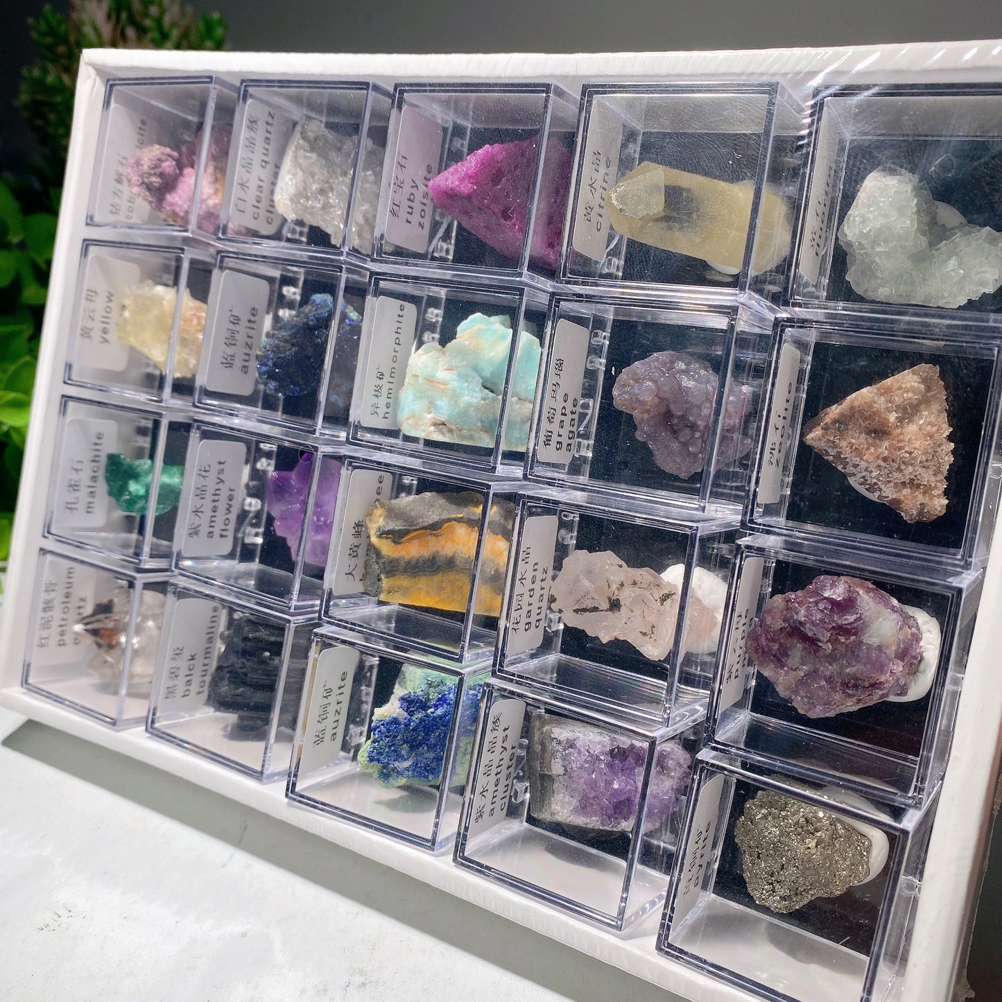 Mixed Crystal Specimen Box Collection Bulk Wholesale