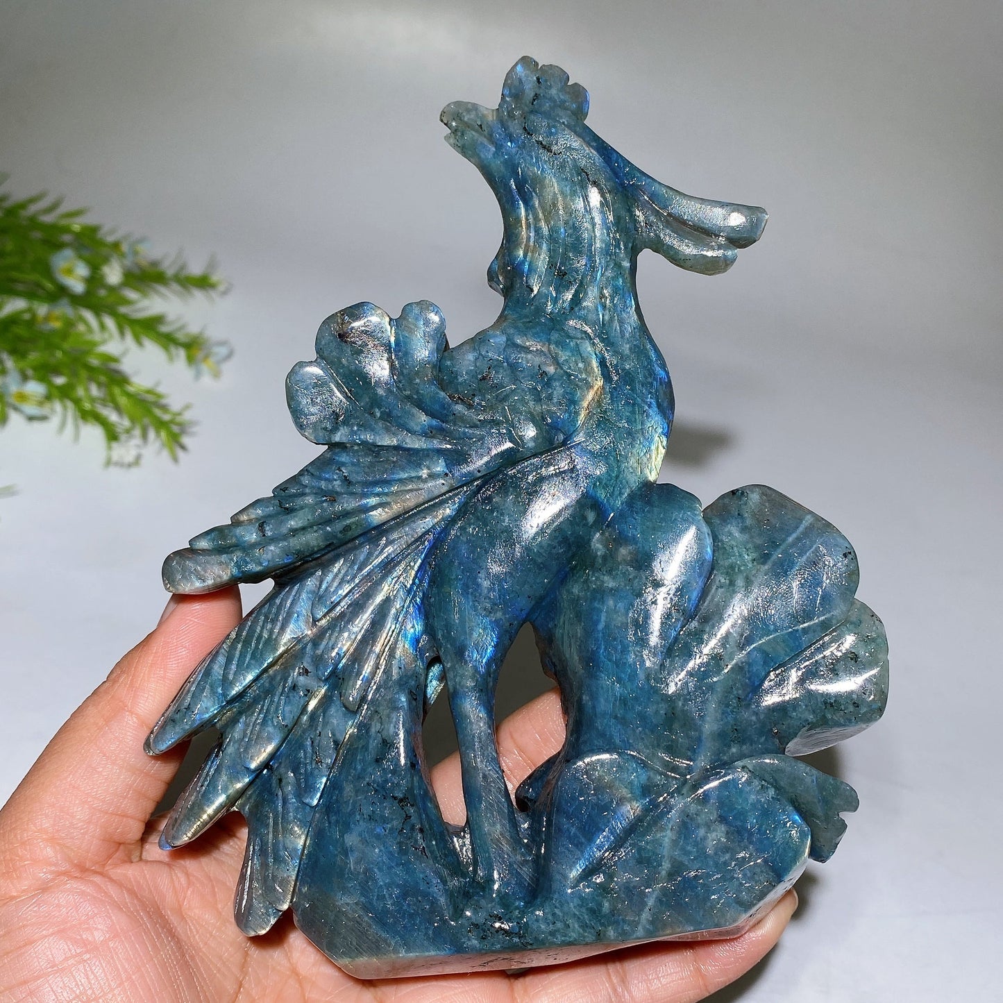 16cm Unique Labradorite Phoenix Carving Crystal Healing Bulk Wholesale