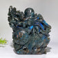 14cm Unique Hand Carved Labradorite Ocean World Fish Turtle Octopus Carving Crystal Healing Bulk Wholesale