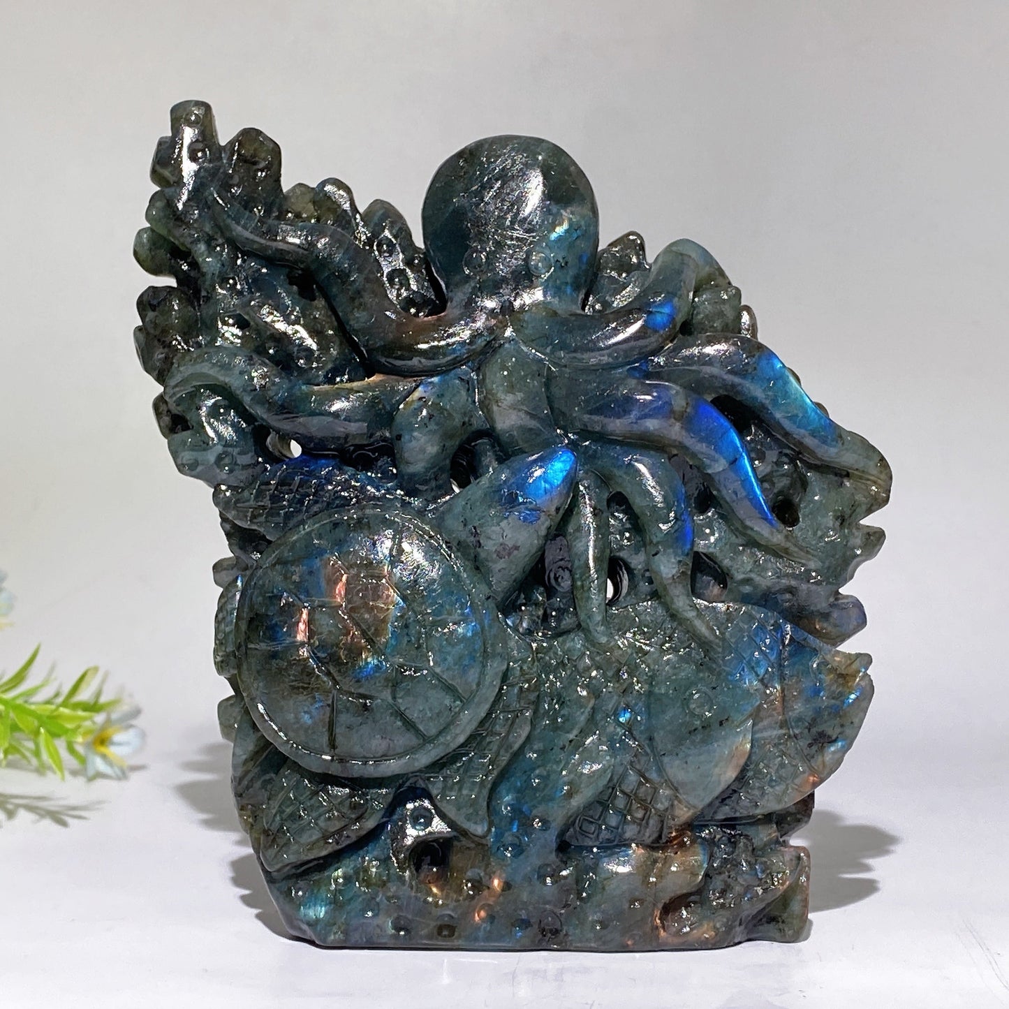 14cm Unique Hand Carved Labradorite Ocean World Fish Turtle Octopus Carving Crystal Healing Bulk Wholesale
