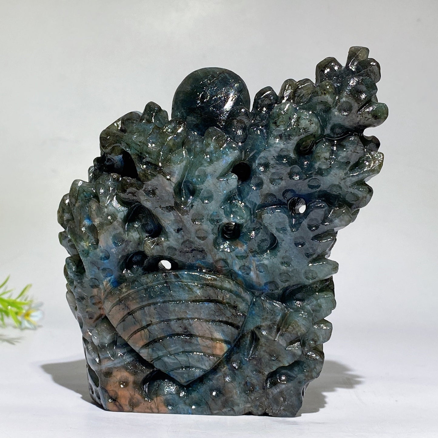 14cm Unique Hand Carved Labradorite Ocean World Fish Turtle Octopus Carving Crystal Healing Bulk Wholesale