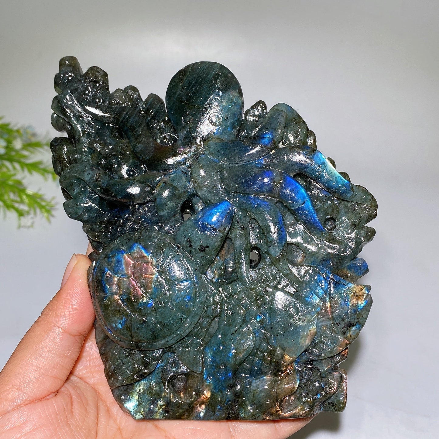 14cm Unique Hand Carved Labradorite Ocean World Fish Turtle Octopus Carving Crystal Healing Bulk Wholesale