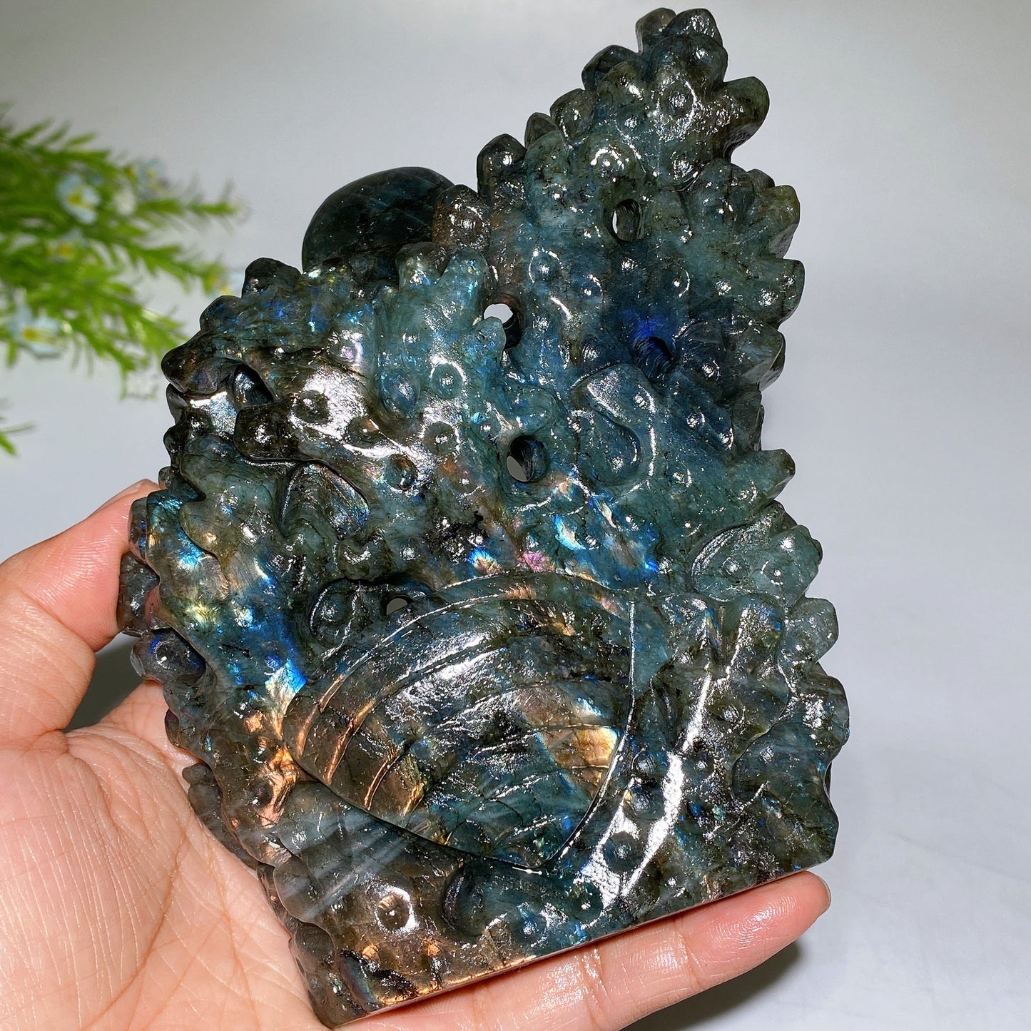 14cm Unique Hand Carved Labradorite Ocean World Fish Turtle Octopus Carving Crystal Healing Bulk Wholesale