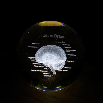 6cm 3D Inner Carving Glass Sphere Crystal Healing Bulk Wholesale