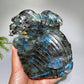 15cm Unique Hand Carved Labradorite Ocean World Shell Octopus Fish Coral Carving Crystal Healing Bulk Wholesale