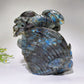 15cm Unique Hand Carved Labradorite Ocean World Shell Octopus Fish Coral Carving Crystal Healing Bulk Wholesale