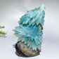 Unique Hand Carved Caribbean Calcite Sun Flowers Free Form Crystal Healing Bulk Wholesale