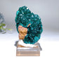 Unique Dipotase from Namibia Specimen Crystal Healing Bulk Wholesale