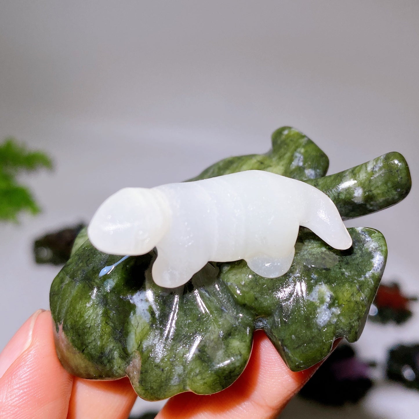 2.7" Crystal Dinosaur on Leaf Carving Crystal Healing Bulk Wholesale