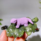 2.7" Crystal Dinosaur on Leaf Carving Crystal Healing Bulk Wholesale