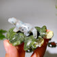 2.7" Crystal Dinosaur on Leaf Carving Crystal Healing Bulk Wholesale